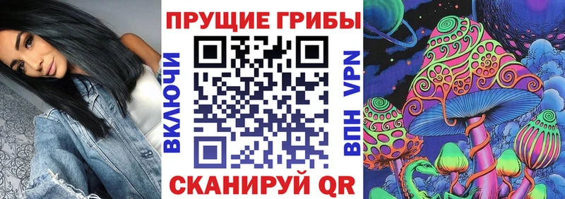 мега онион  Печоры  Галлюциногенные грибы Cubensis 
